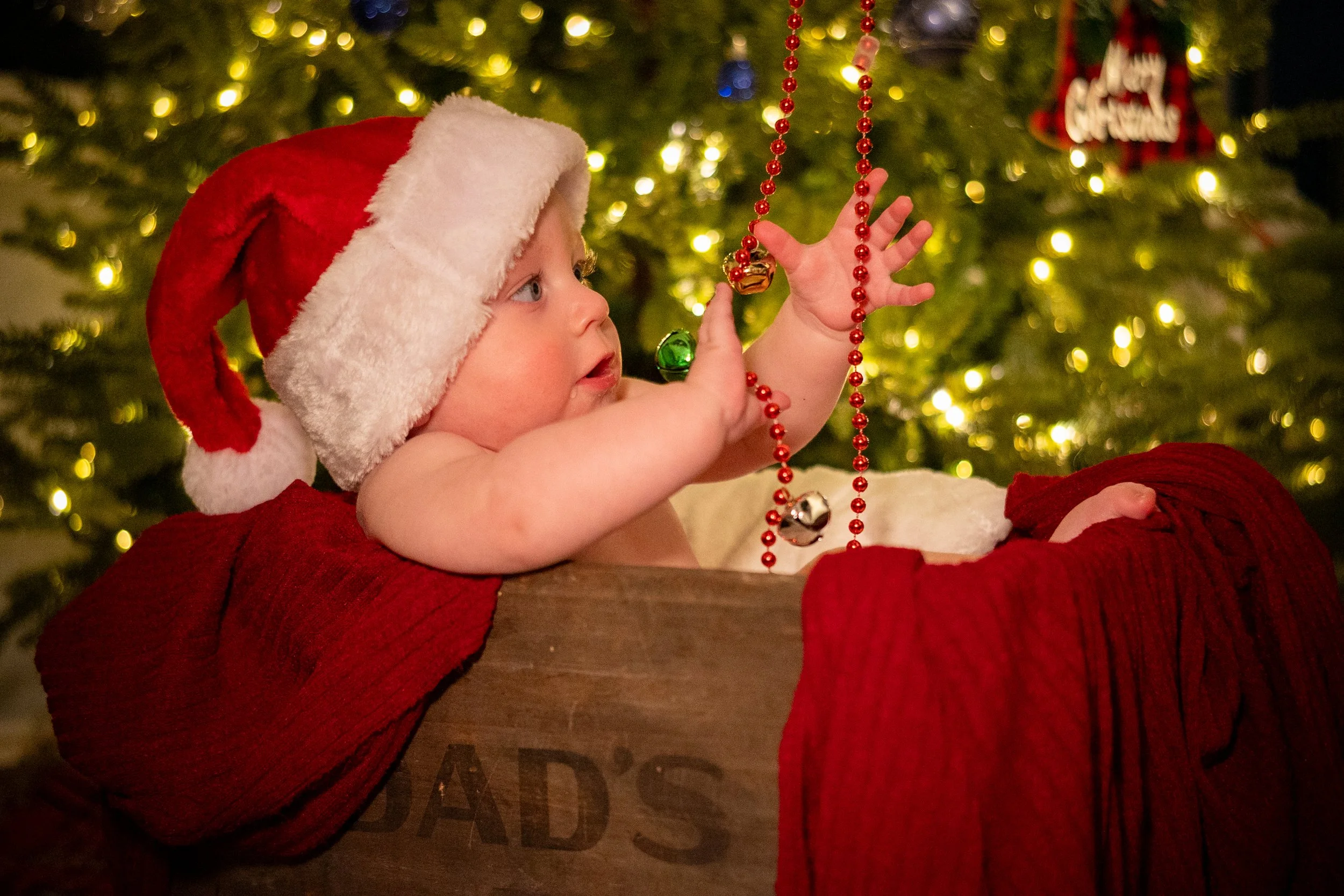 Kash Christmas Photos-25.jpg