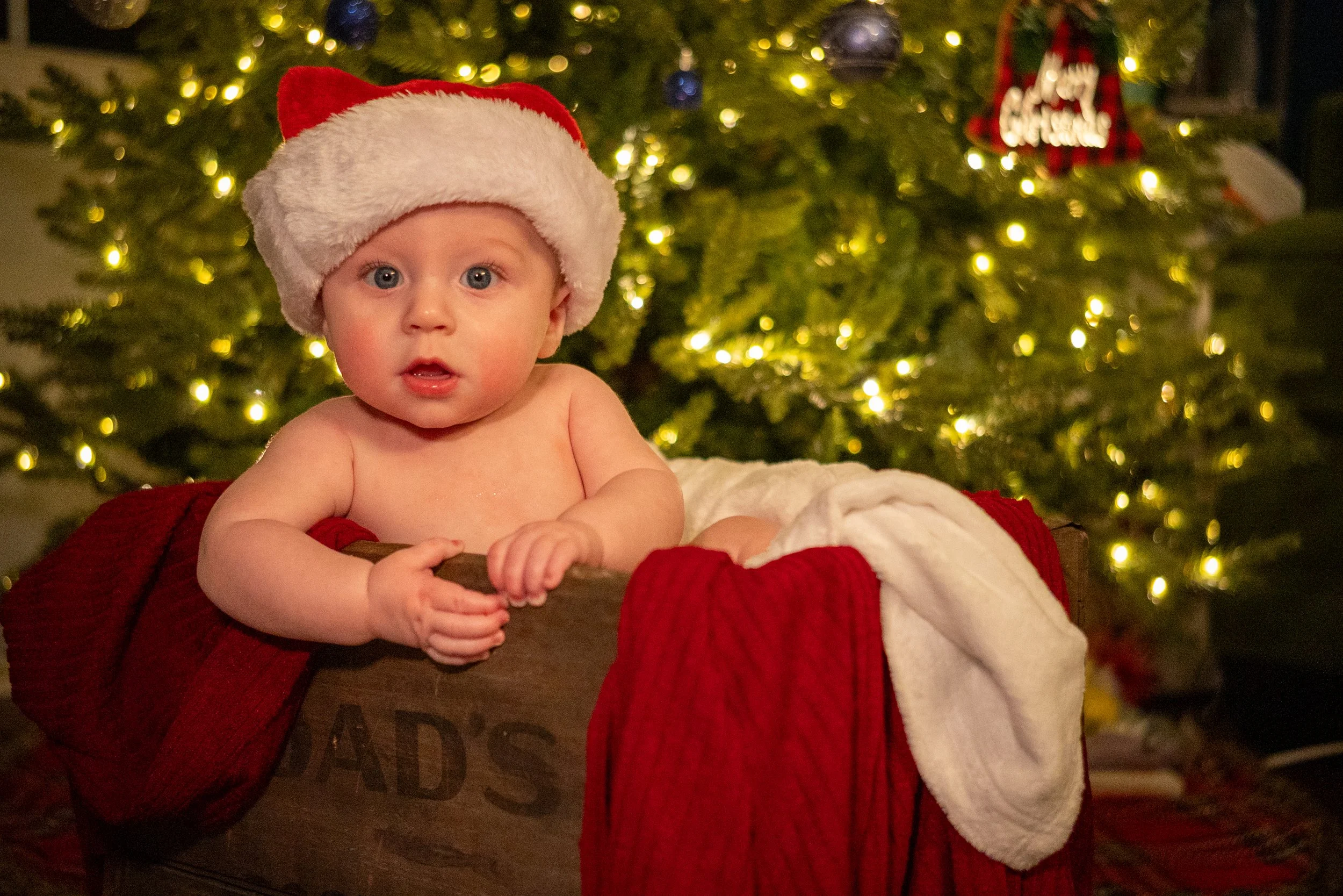 Kash Christmas Photos-09.jpg