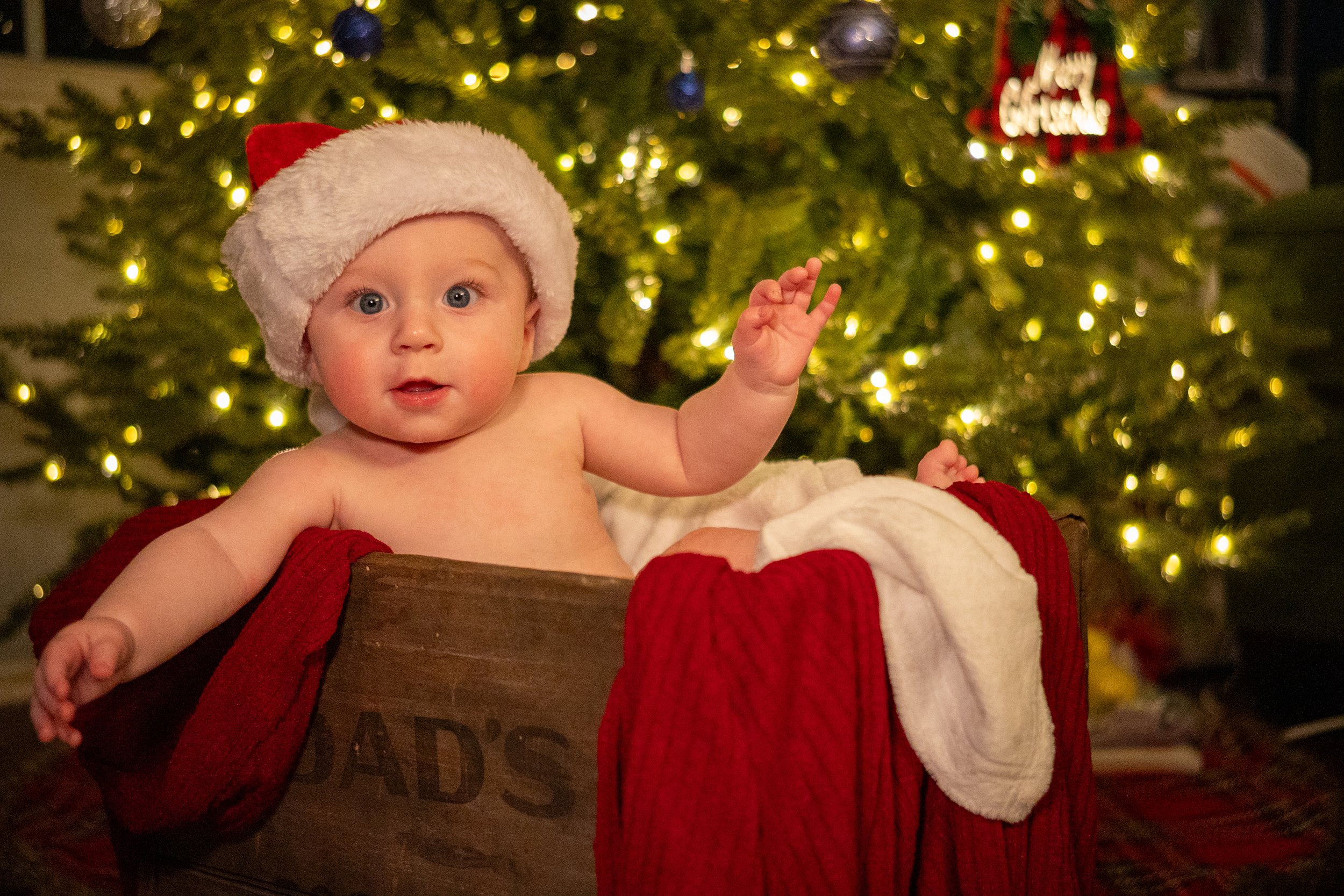 Kash Christmas Photos-12.jpg