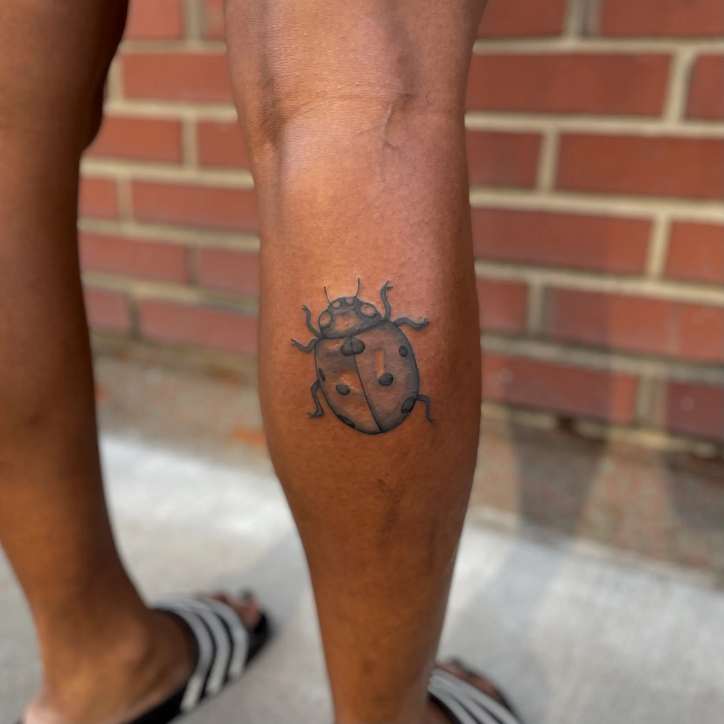 Tattoo of a ladybug on a person's lower leg.