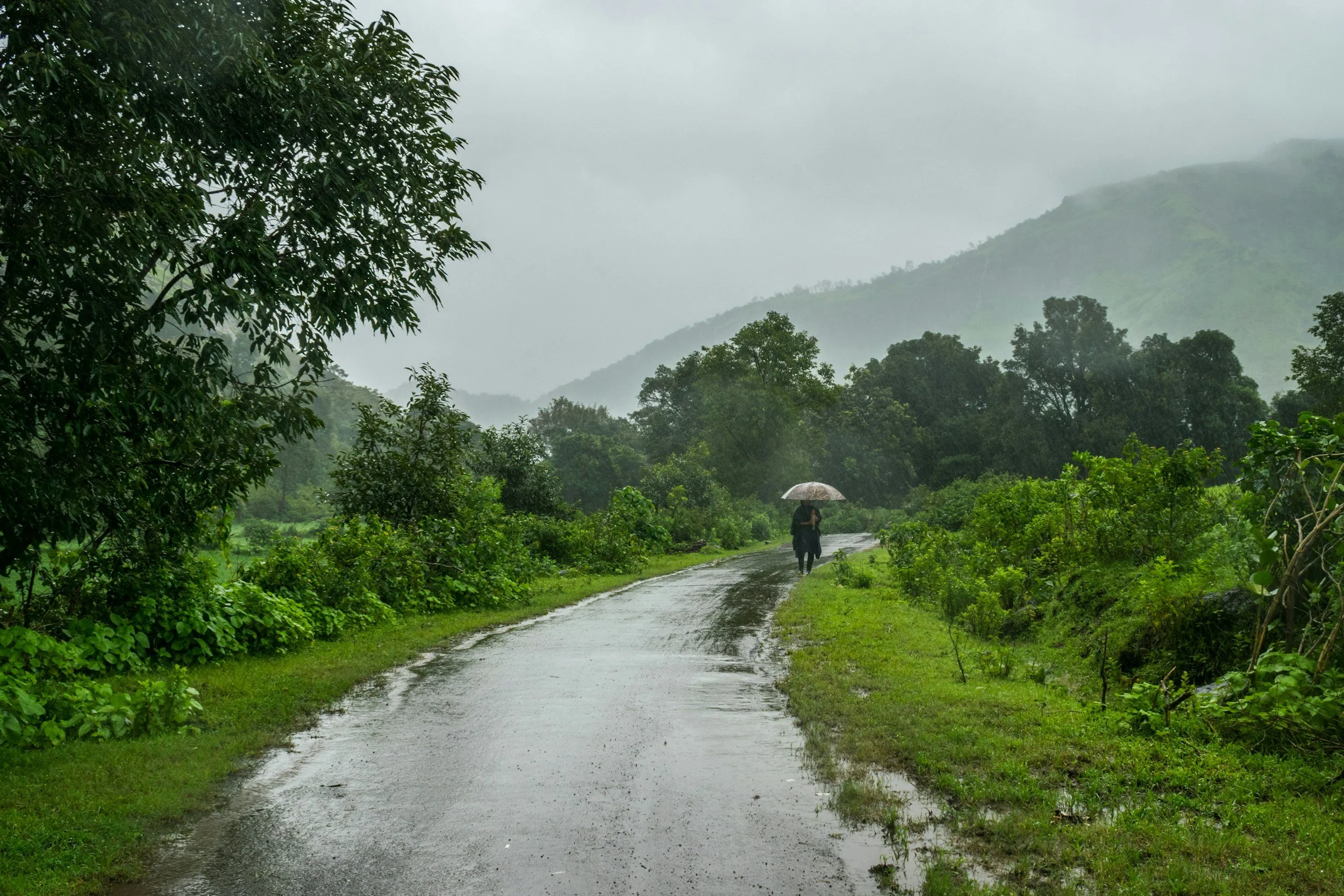 Someone walking on a wet road holding an umbrella surrounded by lush green trees and mountains in the background during rainy weather.