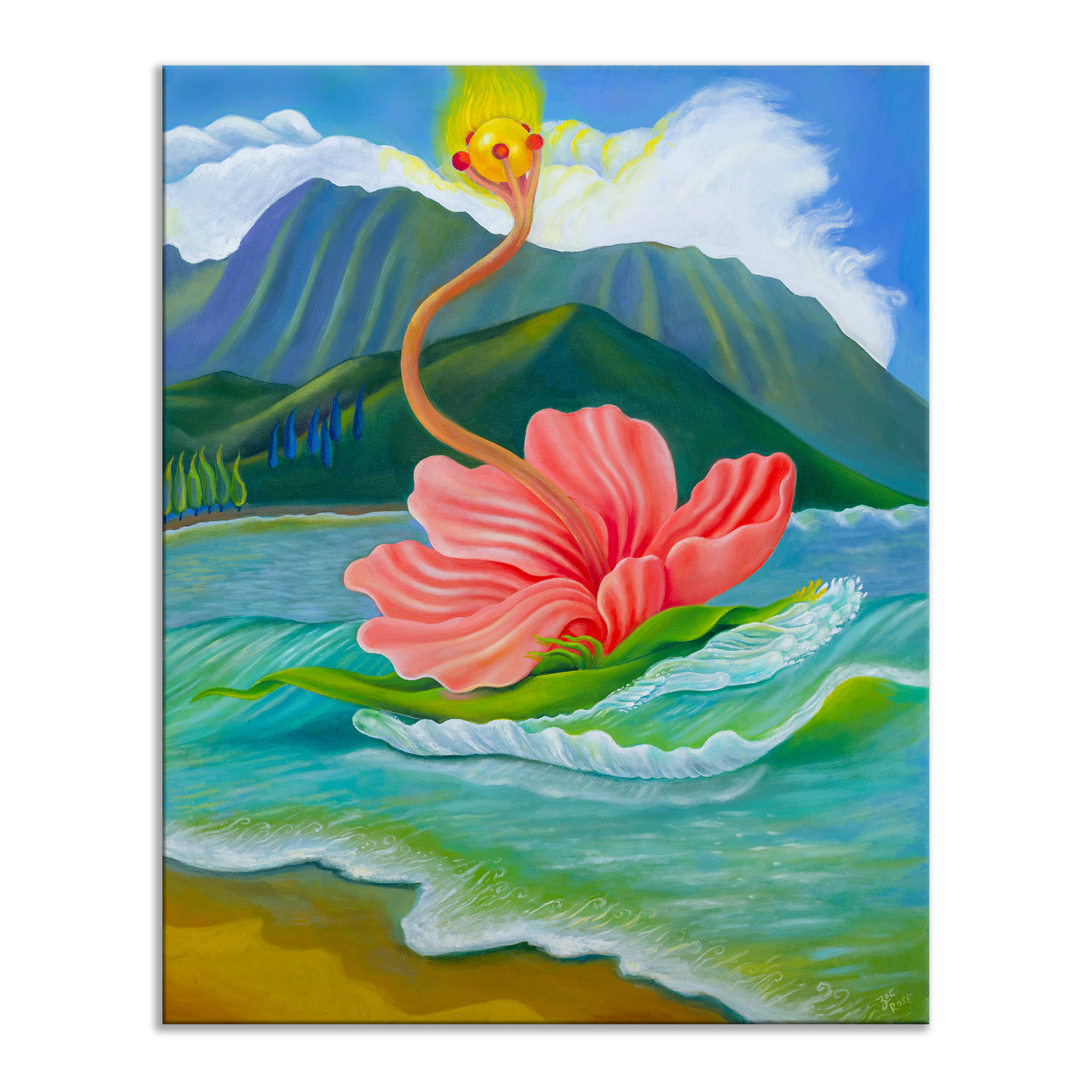 Hibiscus By the Bay 2