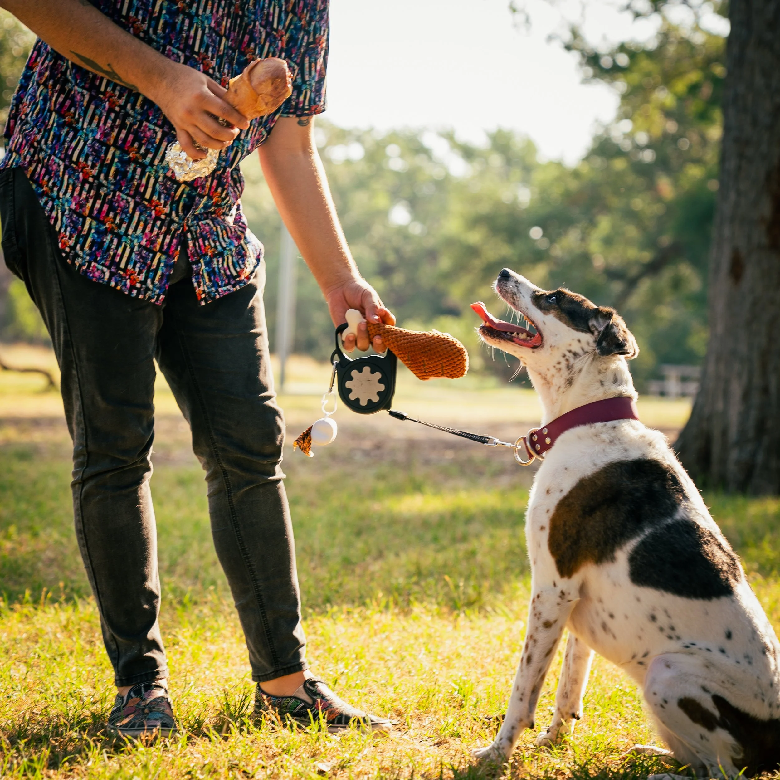 Woof & Whisker Photoshoot
Art Direction & Social Media Content Creation