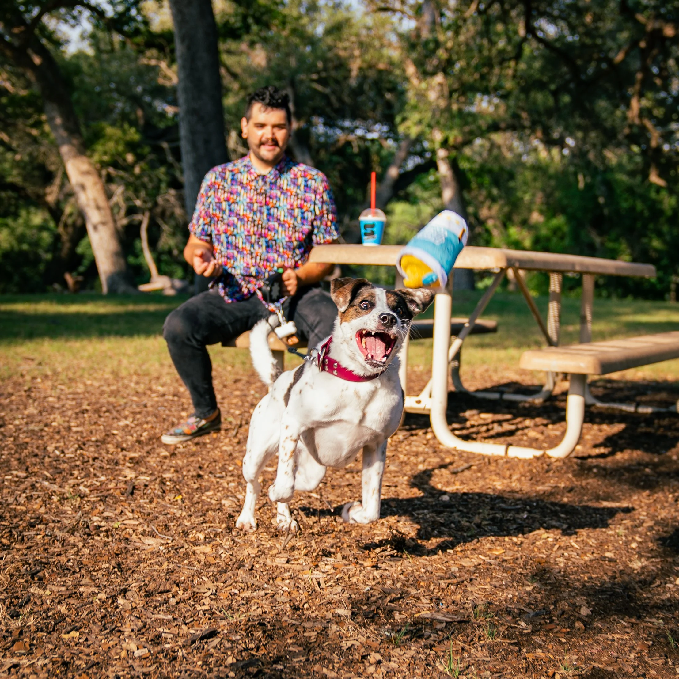 Woof & Whisker Photoshoot
Art Direction & Social Media Content Creation