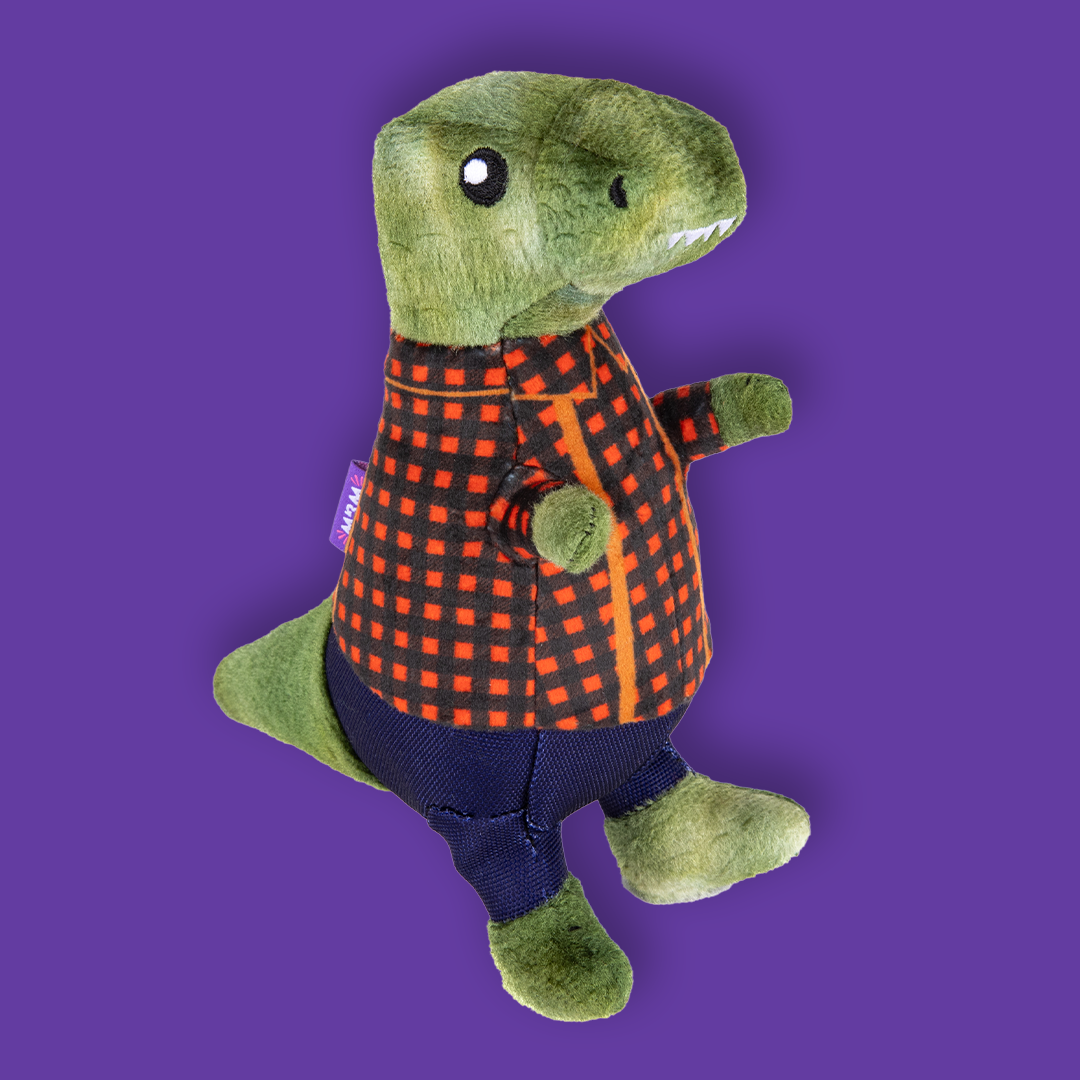 Woof & Whisker Dinosaur Lumber Jack Dog Toy
CPG Product Development & Art Direction