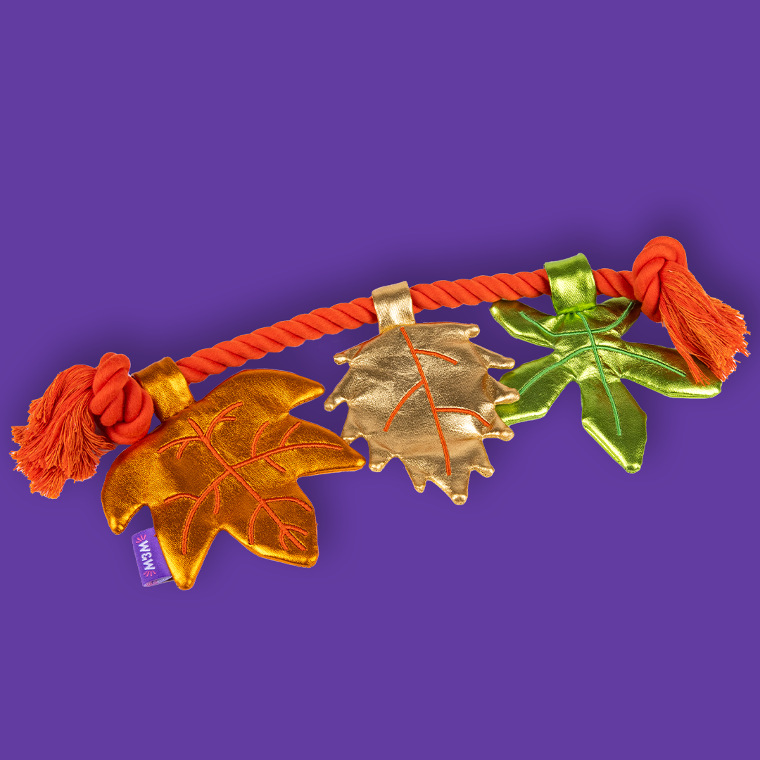Woof & Whisker Leaf Dog Toy
CPG Product Development & Art Direction