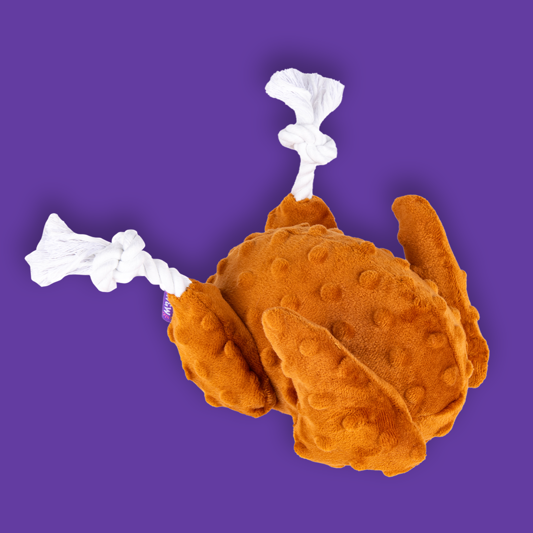 Woof & Whisker Turkey Dog Toy
CPG Product Development & Art Direction