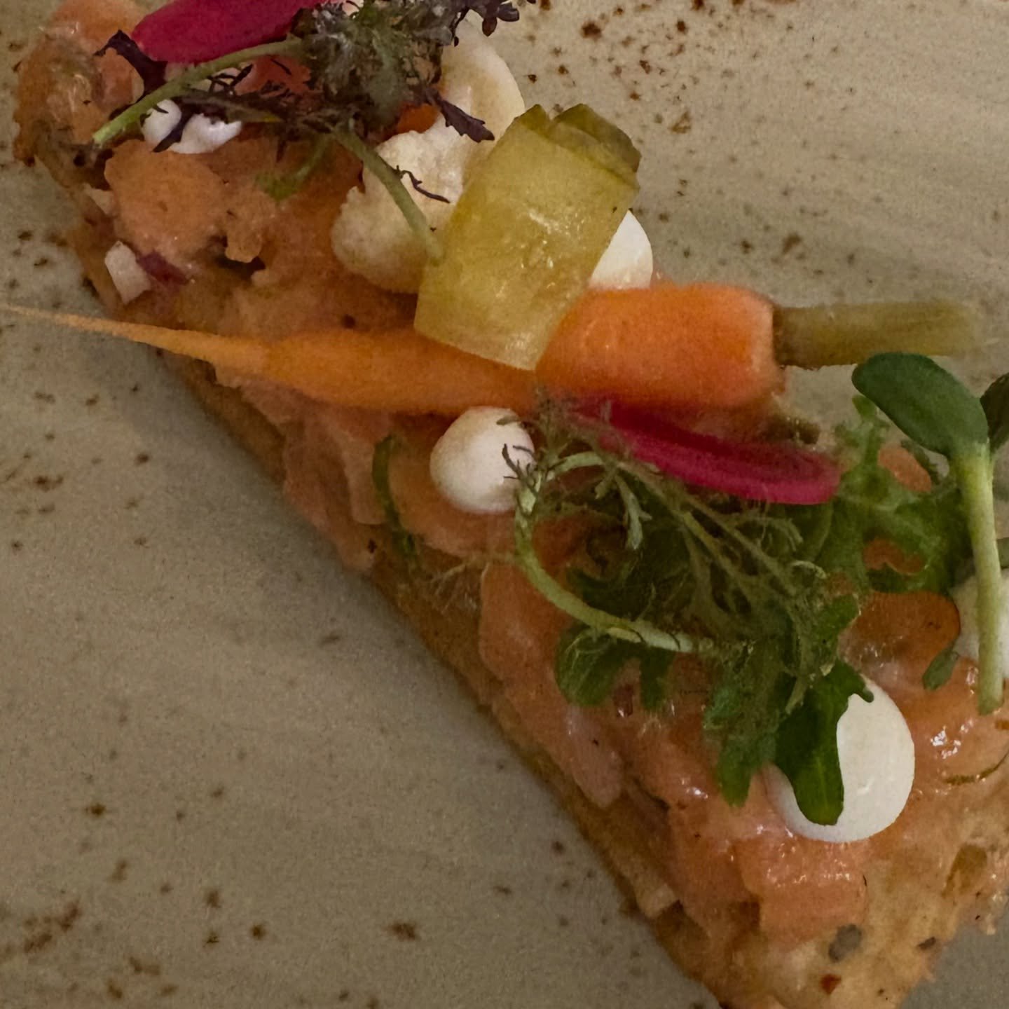 T&aacute;rtaro de Salm&oacute;n.