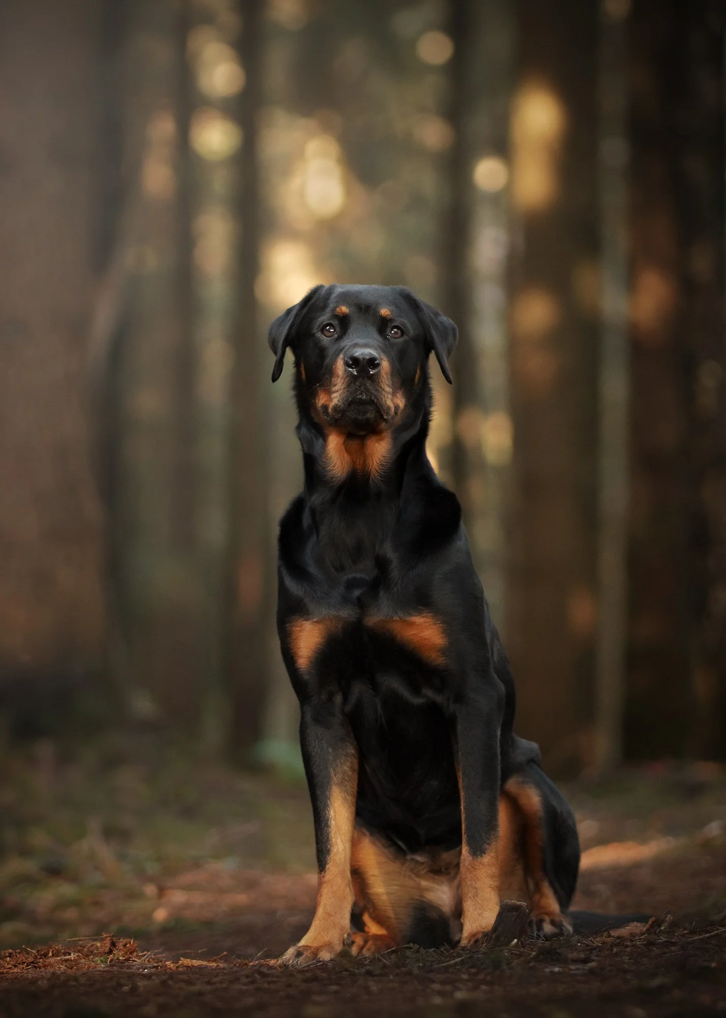 Karma 2 Portrait.jpg