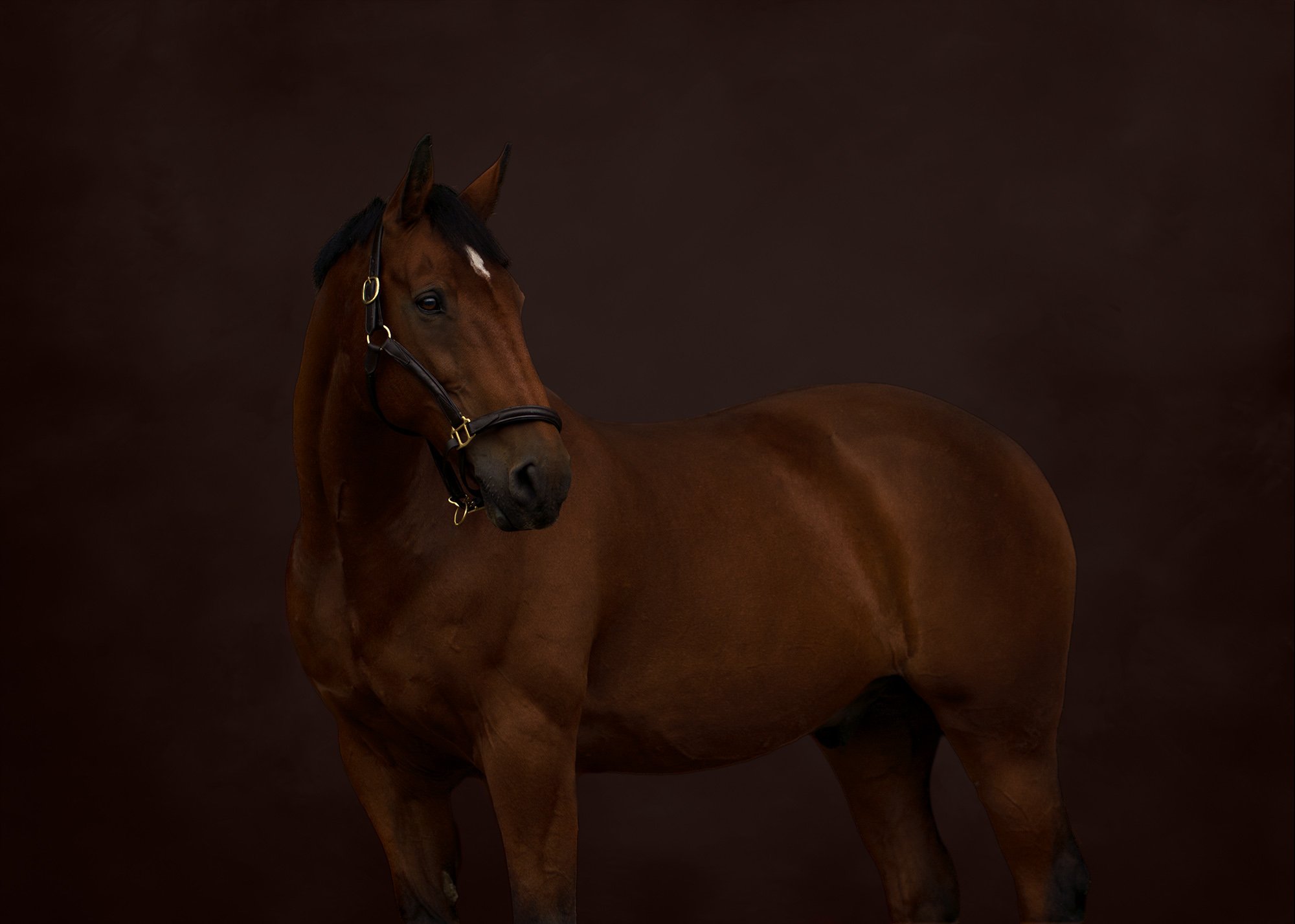 Black background.jpg