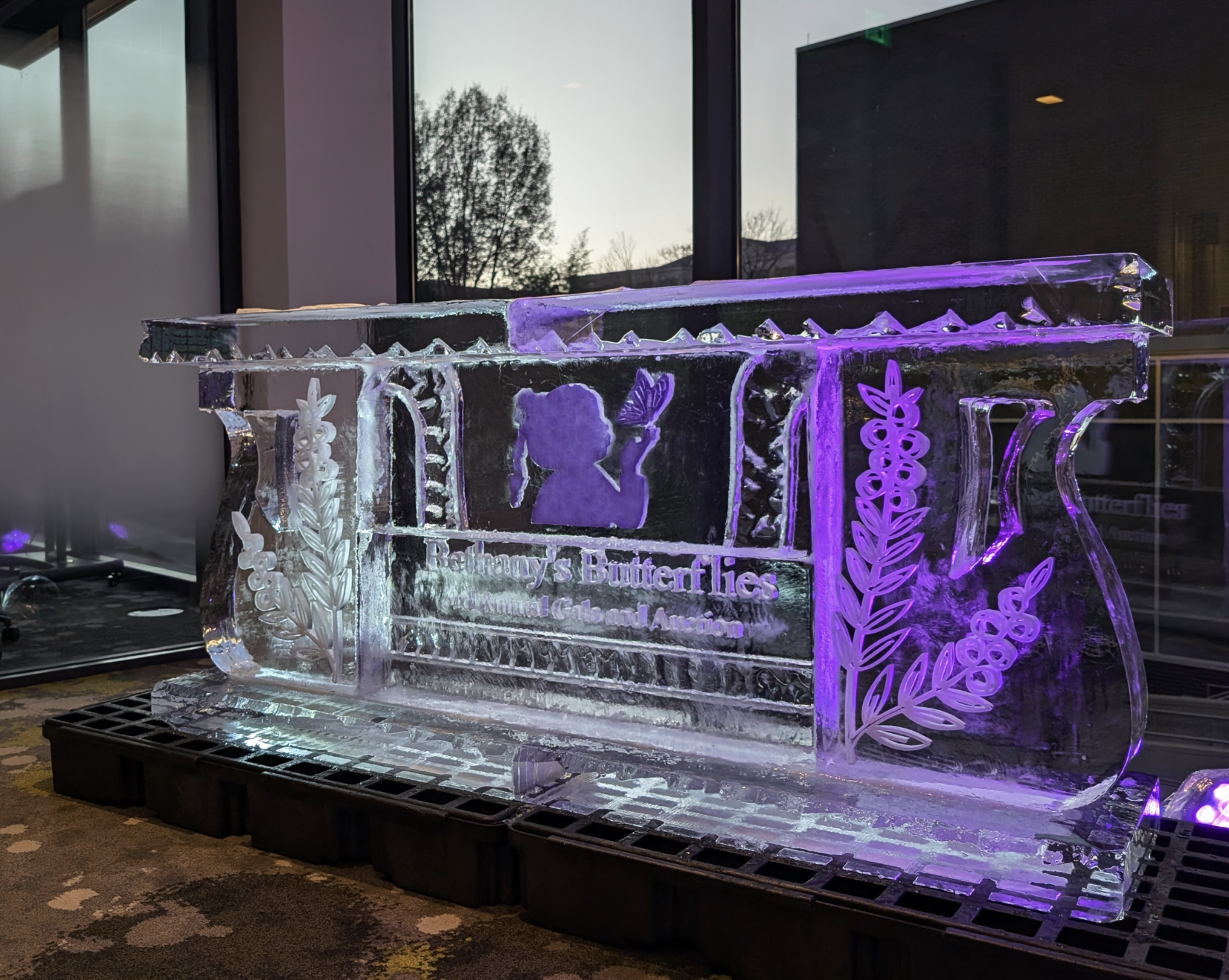 Ice Bar Serving Bar
