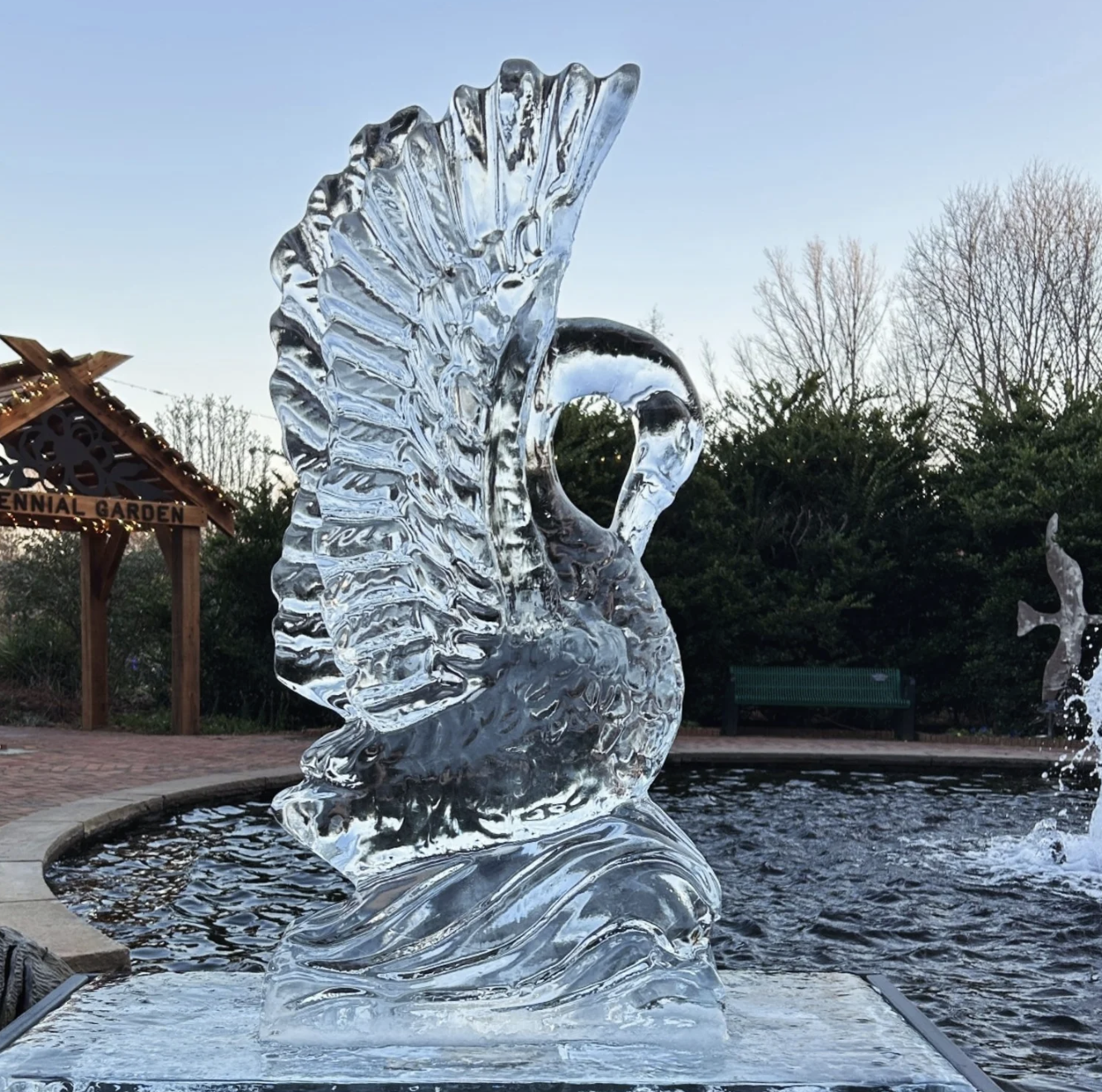 Swan Ice Carving 