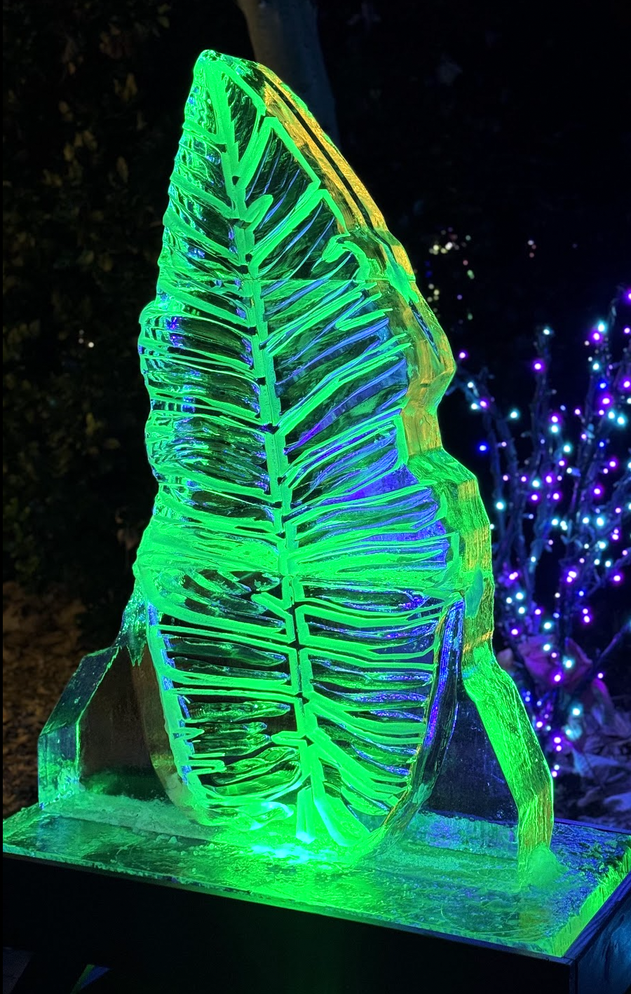 Botanical Ice Sculpture Charlottesville