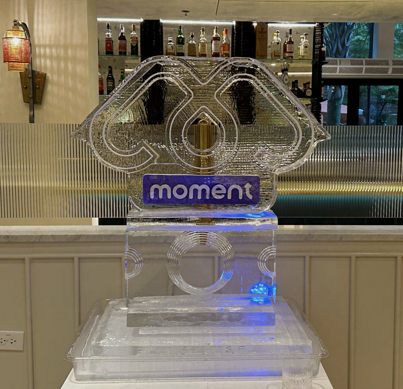 Logo Ice Sculpture Charlottesville