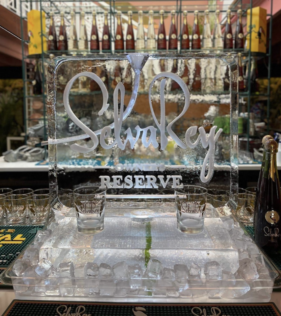 Double Ice Luge