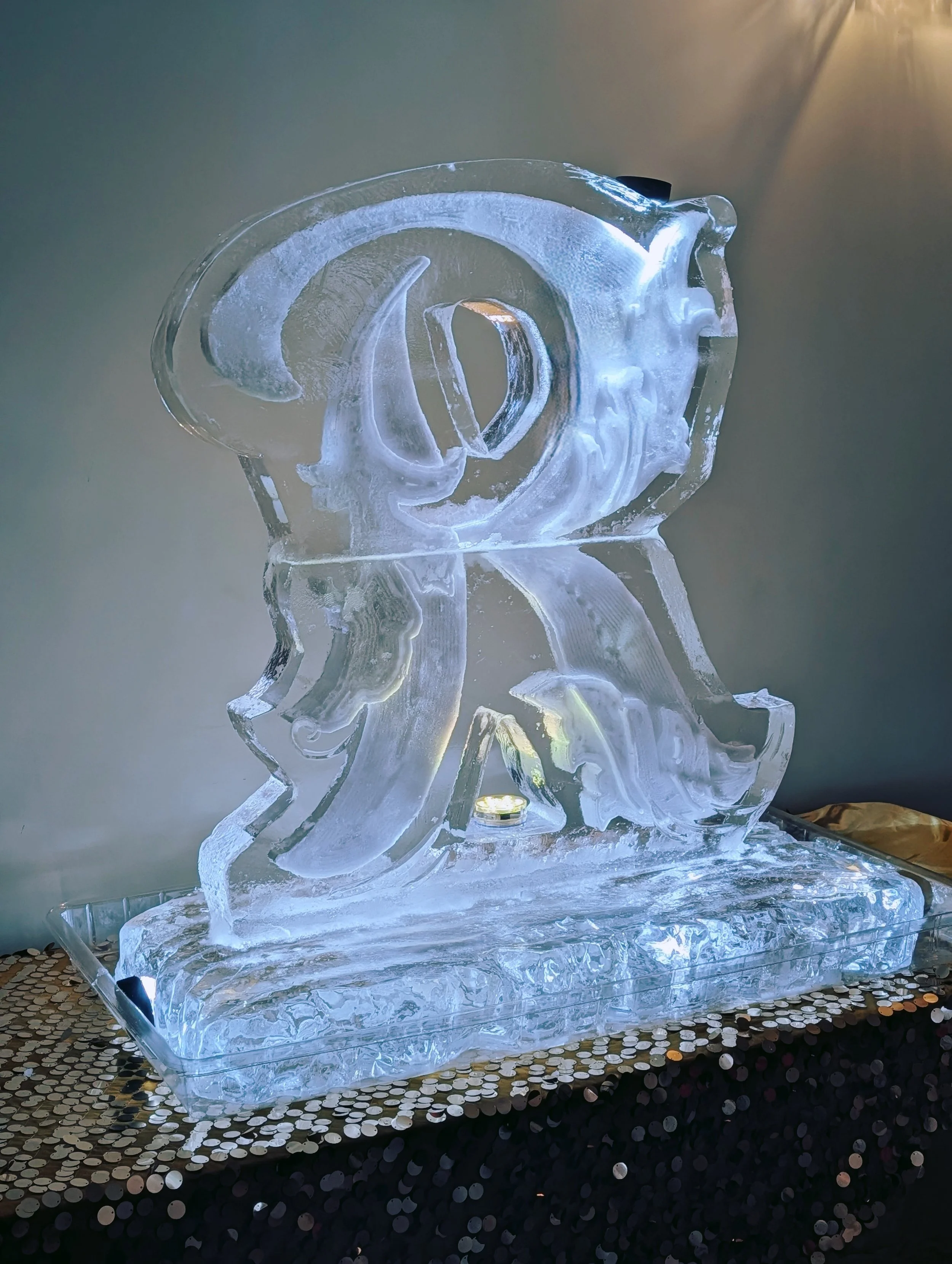 Caitlin Pierce Ice Sculptor Virginia