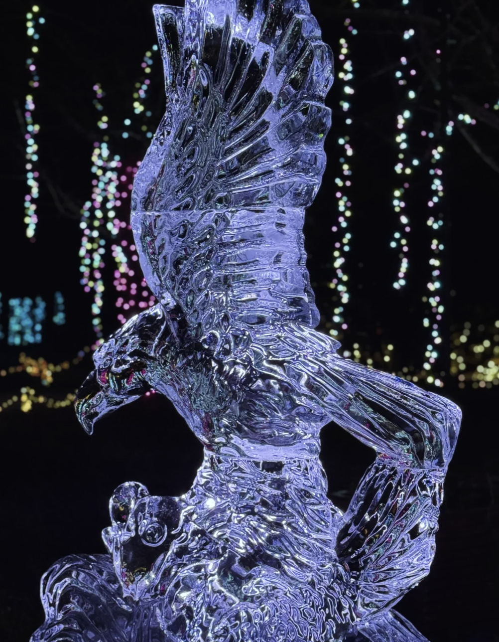 America Ice Sculpture