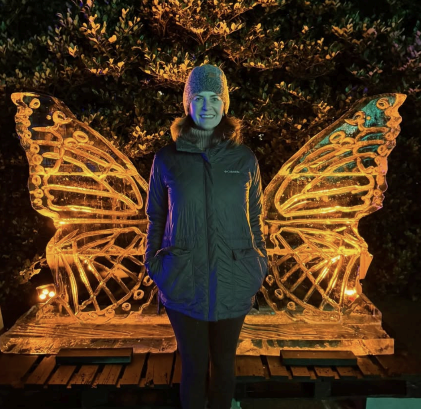 3D Butterfly Ice Sculpture Richmond