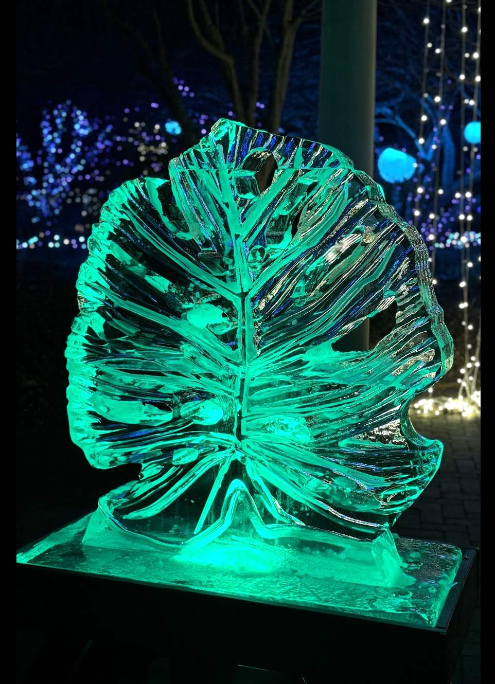 Ice Sculpture Near Me Virginia