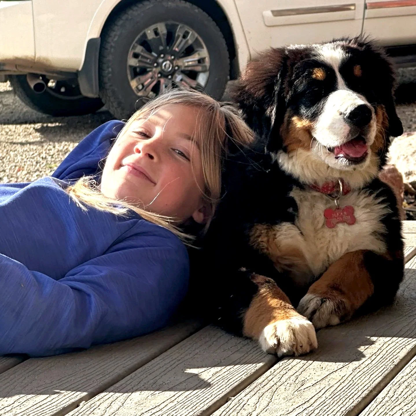 A young girl lying on a wooden deck with a happy expression next to a large Bernese Mountain Dog, both basking in sunlight with a vehicle in the background.