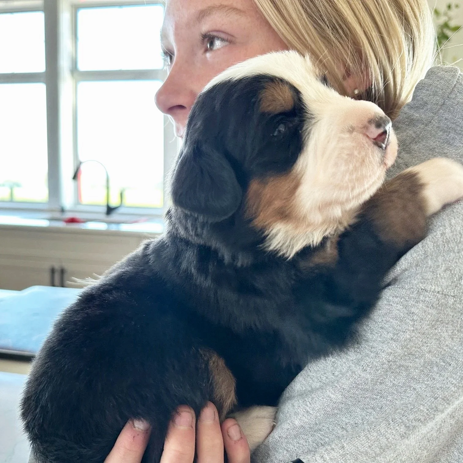 A woman holding a young black, tan, and white puppy with closed eyes, indoors near a window.