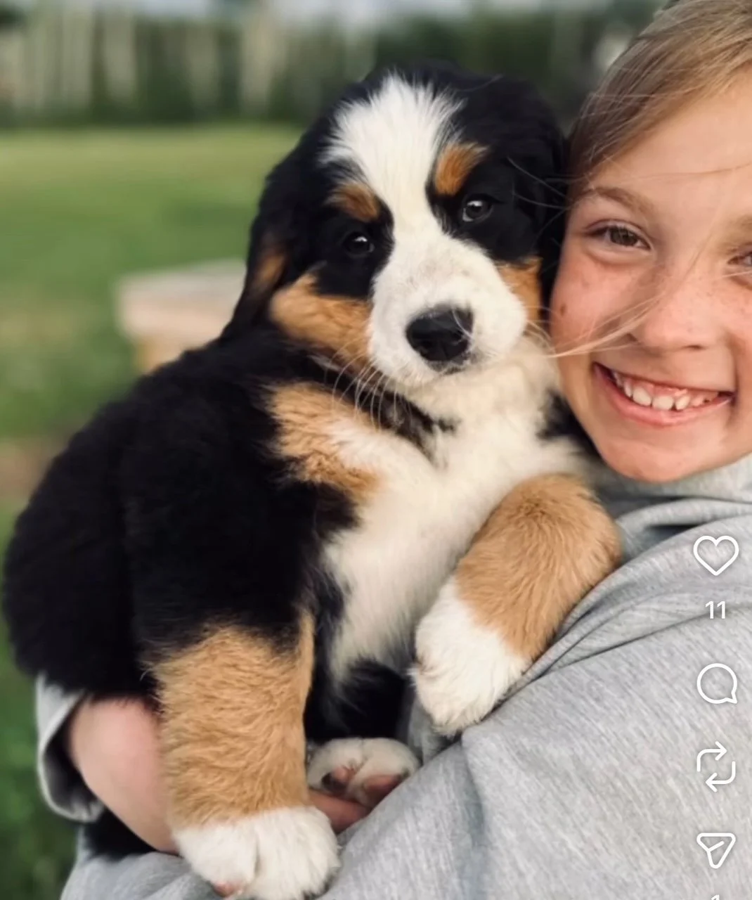 A smiling young girl holding an adorable Bernese Mountain Dog puppy outdoors.
