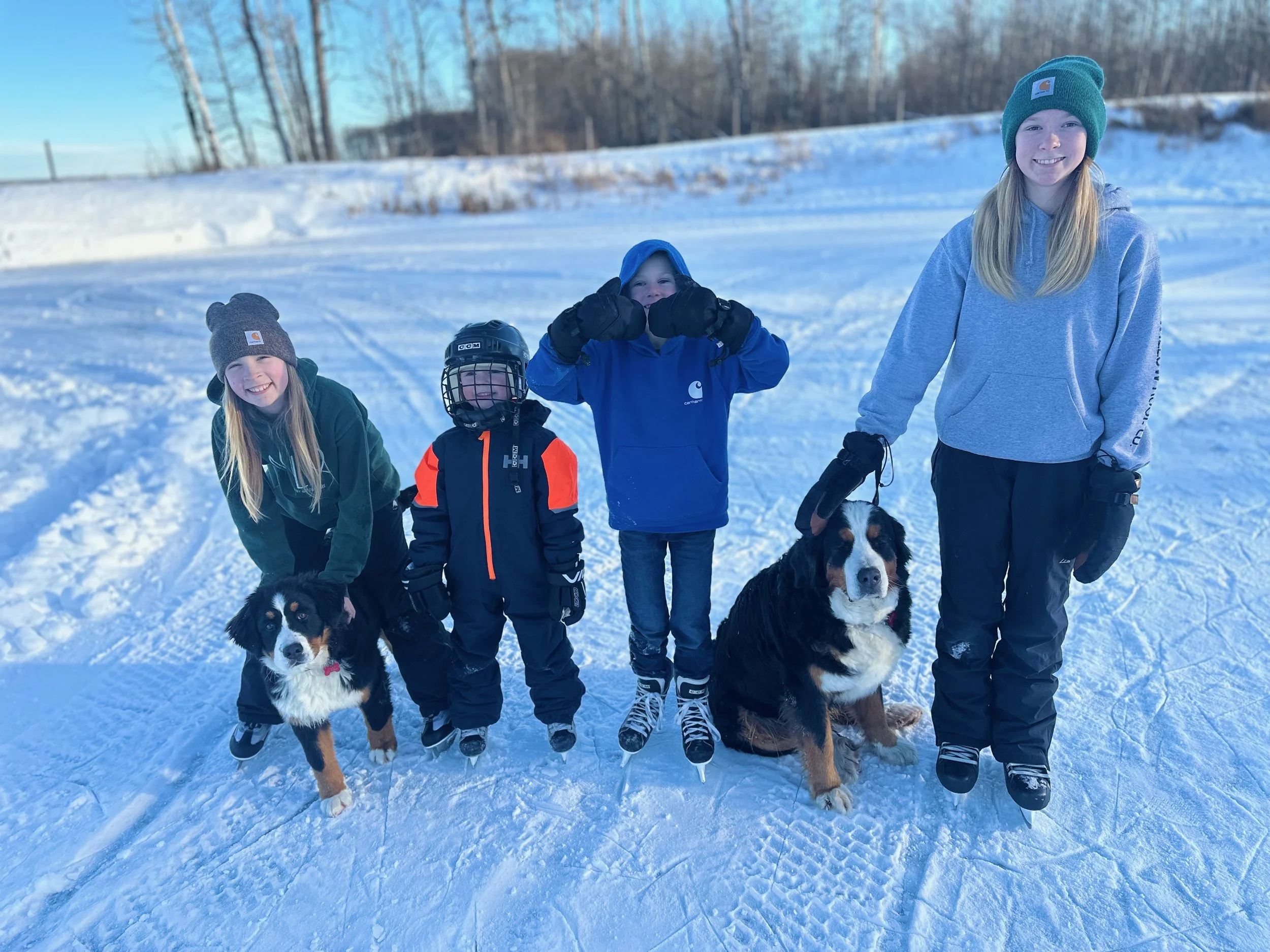 Four children and two Bernese Mountain Dogs posing on snow with a snowy landscape and trees in the background.