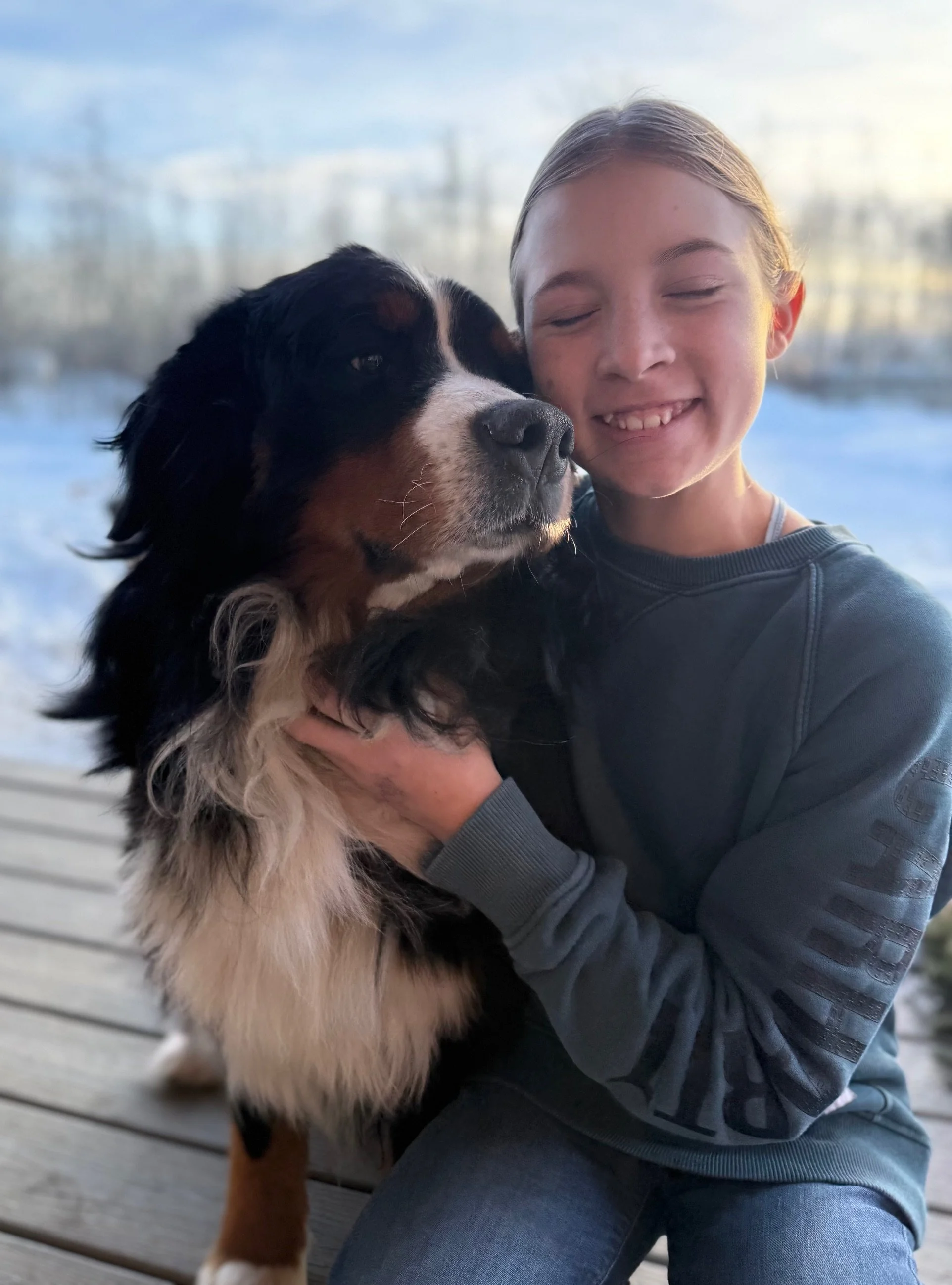 A young girl smiling with her eyes closed, hugging a large Bernese Mountain Dog with a snowy background outside.