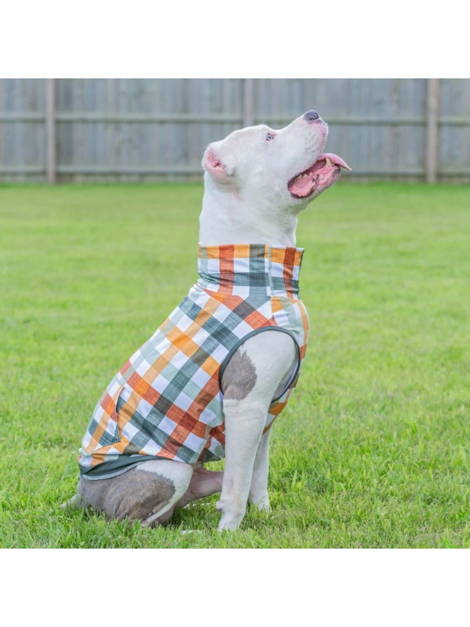 Woofland Woods Muscle Tee