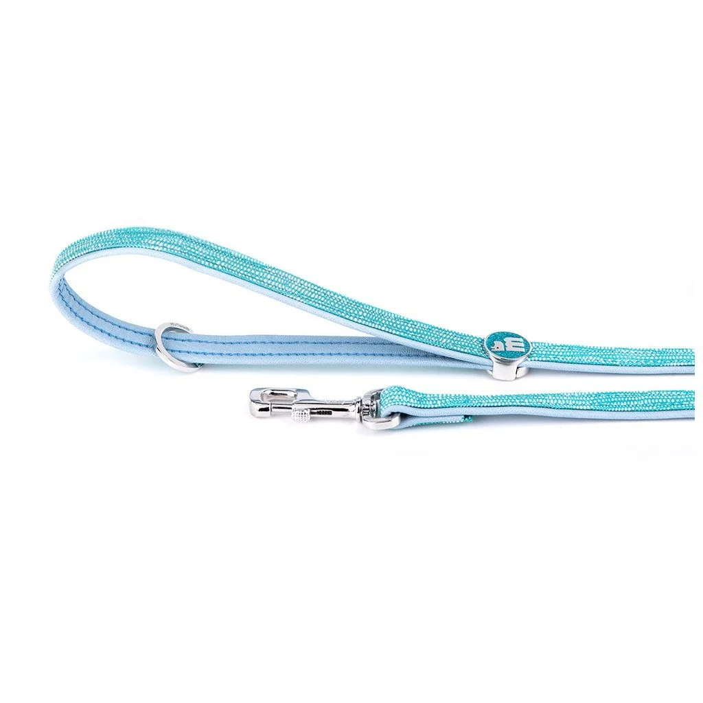 MyFamily Saint Tropez turquoise synthetic fiber dog leash
