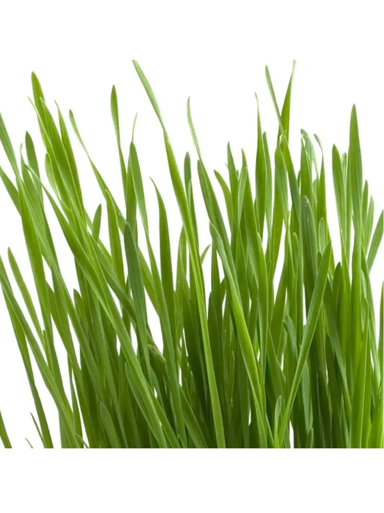 d80789b5bc7b896f2c86e346707130c883040b6f8916fa693fa4ece045a60ded.jpg (Copy) (Copy)