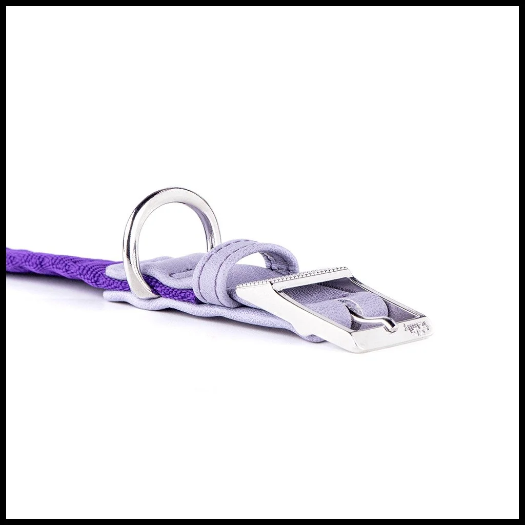 MyFamily Milano purple Italian nylon dog collar with white bronze hardware