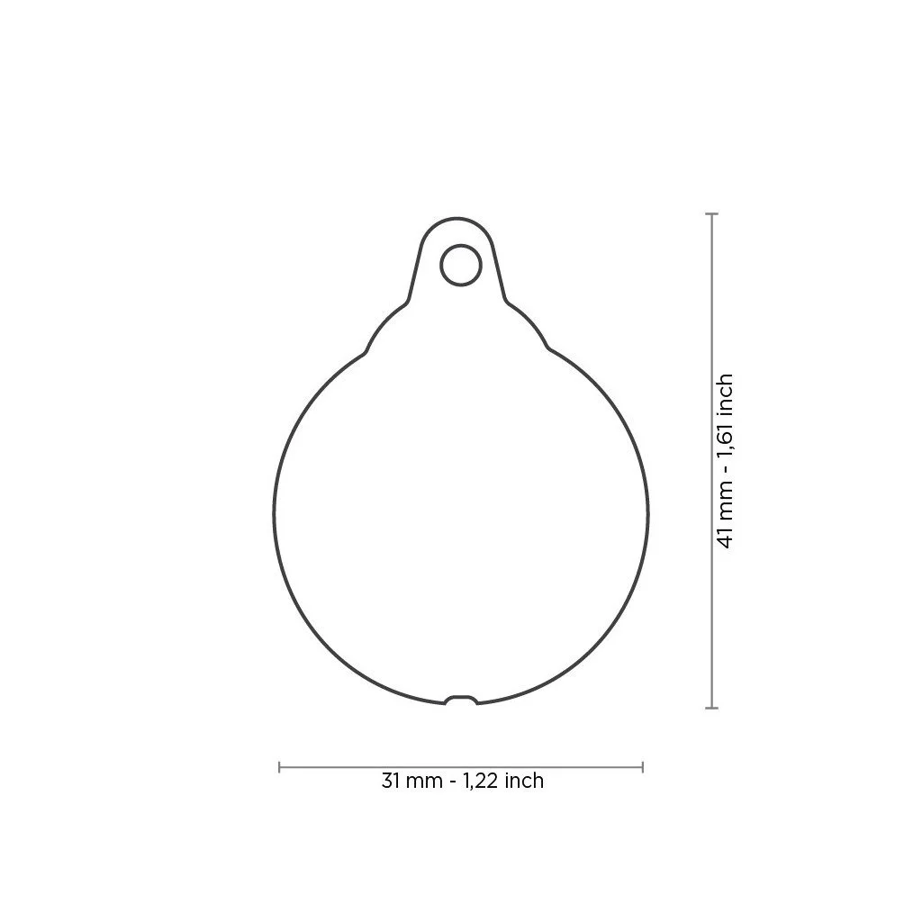 MyFamily Charms Big Ladybug pet ID tag