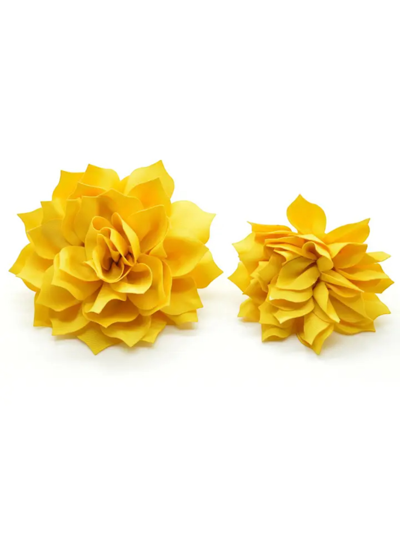 Golden Yellow Fluffy Flower