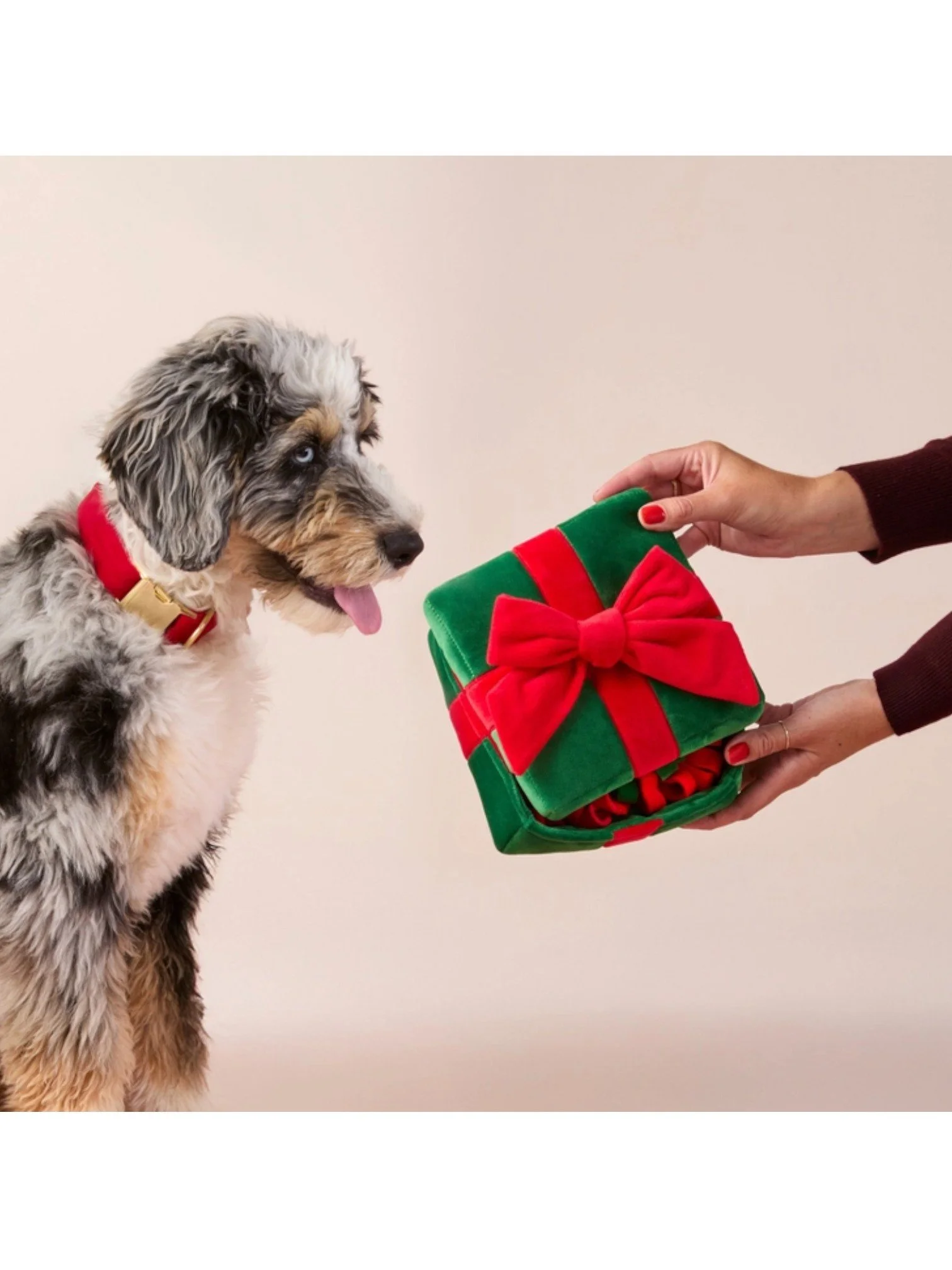 Holiday Present Interactive Snuffle Dog Toy | The Foggy Dog
