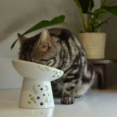 Necoichi tilted raised porcelain cat food bowl in the Go Green design (4).jpg