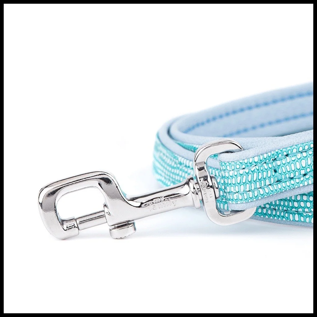 MyFamily Saint Tropez turquoise synthetic fiber dog leash