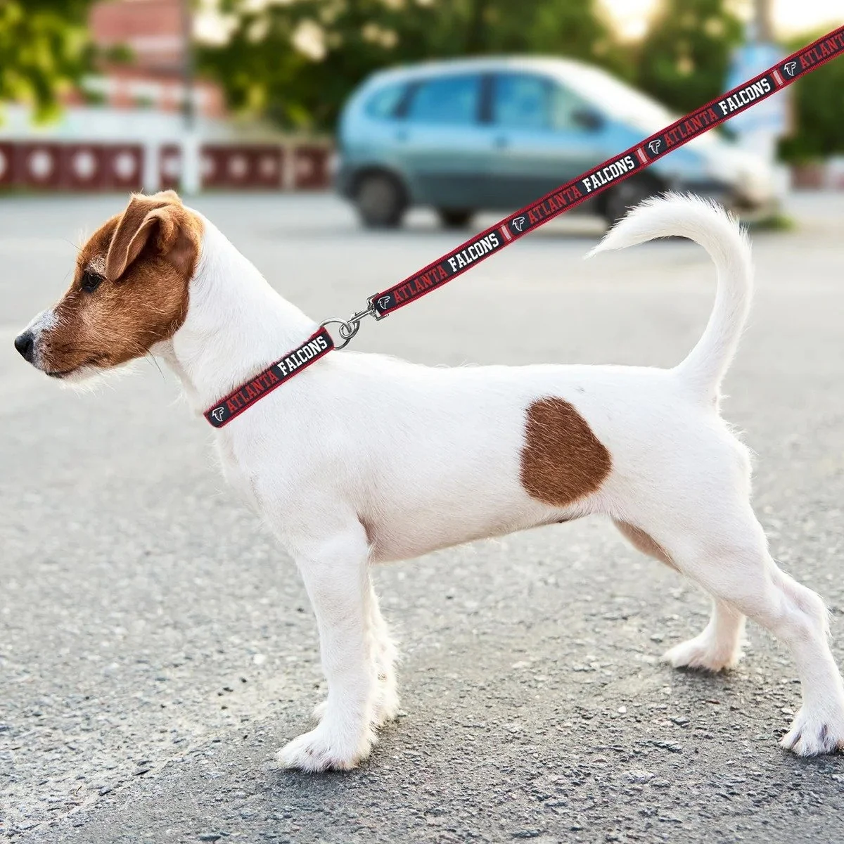 Pets First Atlanta Falcons satin nylon dog leash with official team colors and logo graphics (2).jpg