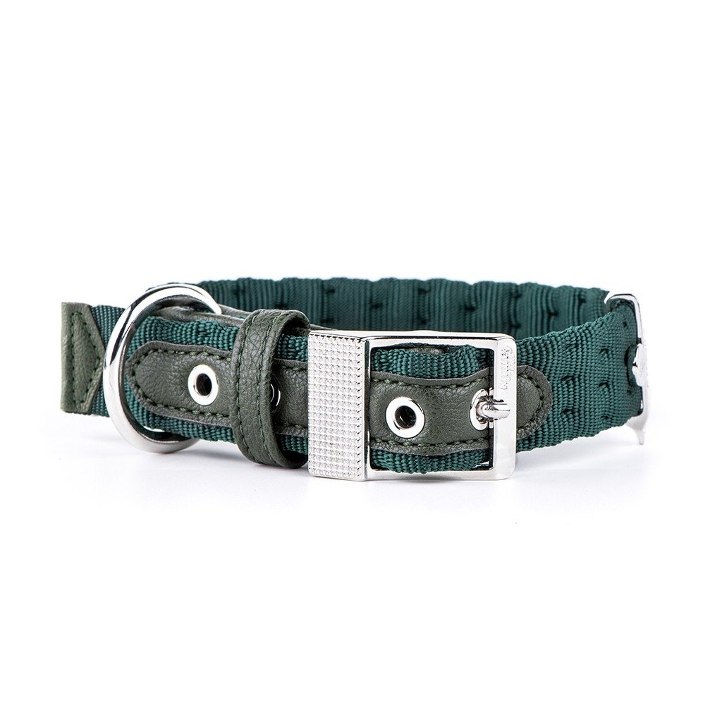 MyFamily Milano Green Italian Nylon Dog Collar