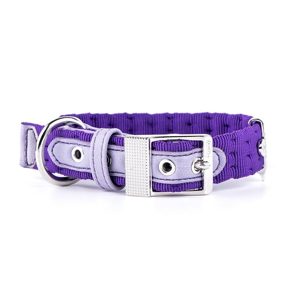MyFamily Milano Purple Italian Nylon Dog Collar