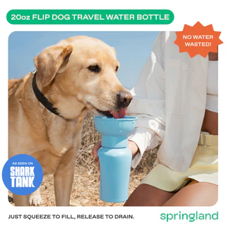 Springland Pets 20 oz Flip travel dog water bottle in Sky Blue with collapsible silicone bowl and carabiner (1).png