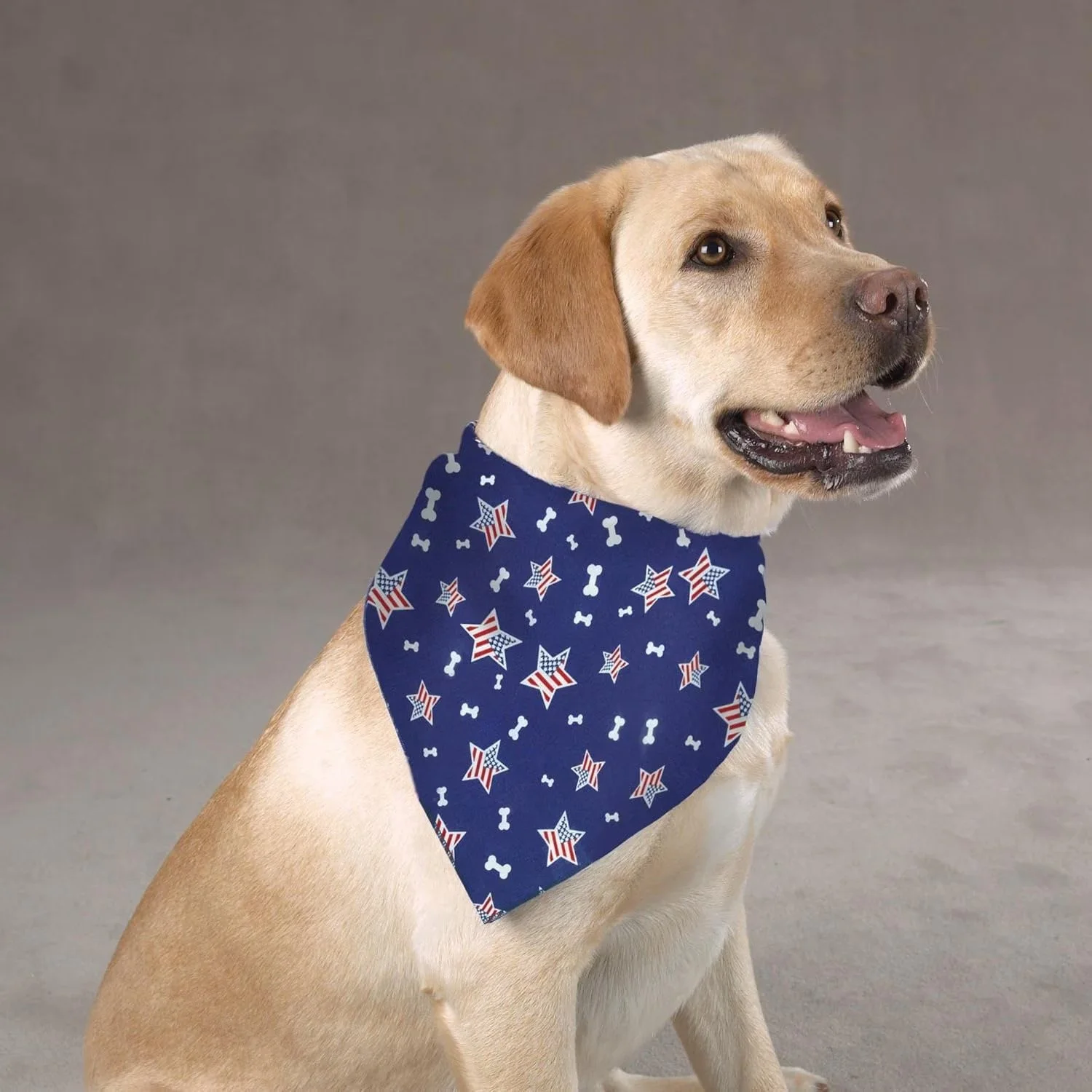 Aria Bone in the USA patriotic dog bandana with red white and blue bone print