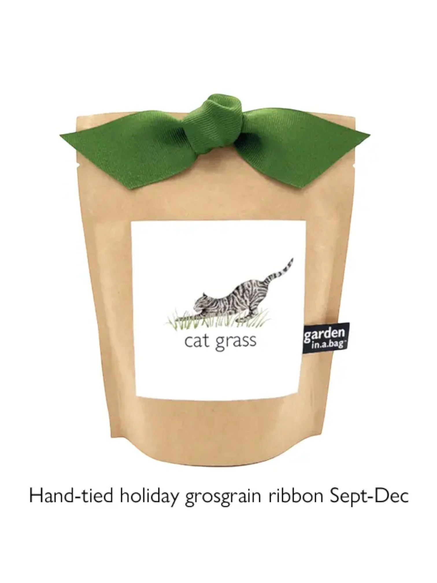 Garden in A Bag | Cat Grass