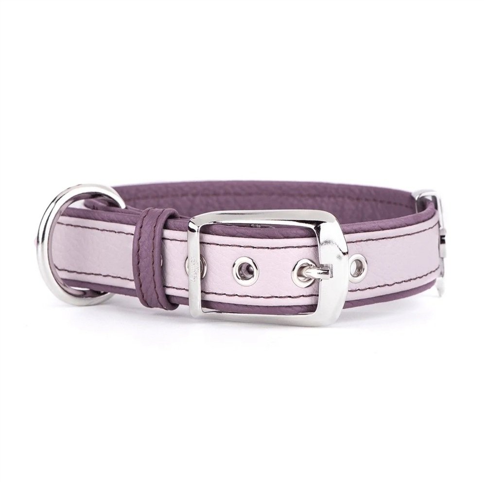 MyFamily+Firenze+Light+Purple+Genuine+Leather+Dog+Collar+%282%29.jpg