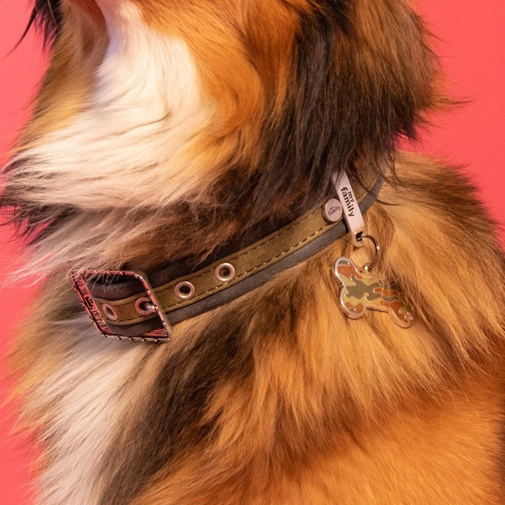 MyFamily Style Camouflage XL green bone dog ID tag