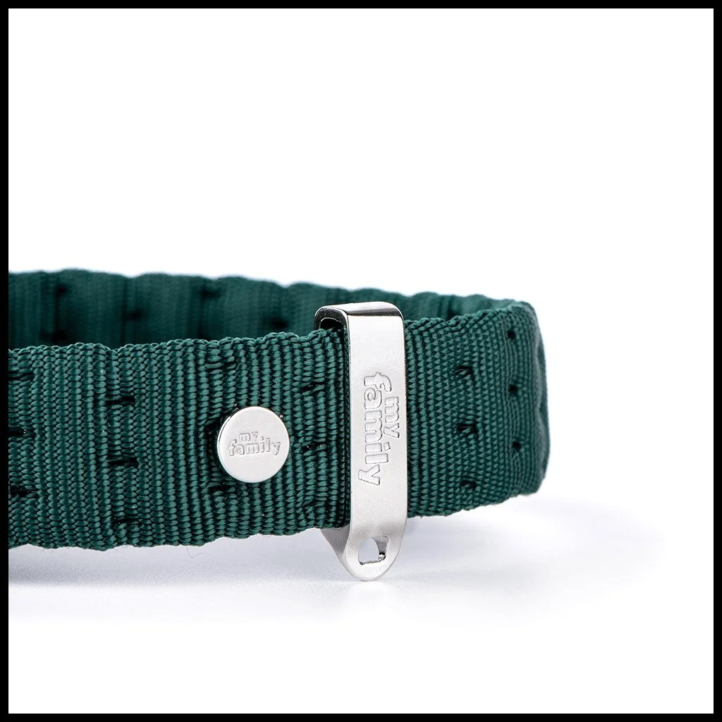 MyFamily Milano green Italian nylon dog collar with white bronze hardware