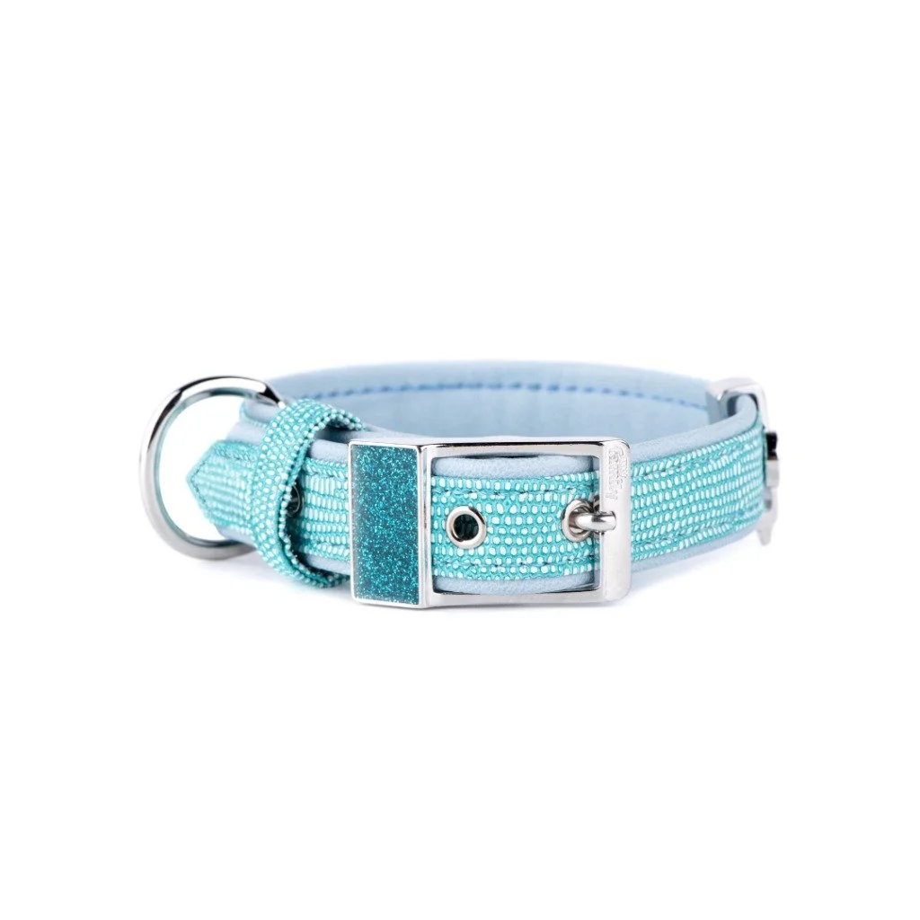 MyFamily Saint Tropez turquoise synthetic fiber dog collar