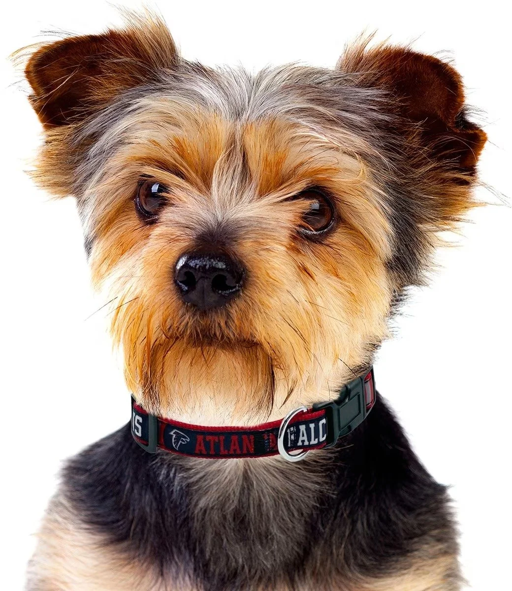 Pets First Atlanta Falcons satin dog collar with NFL team colors, logo graphics, black buckle, and metal D-ring (3).jpg
