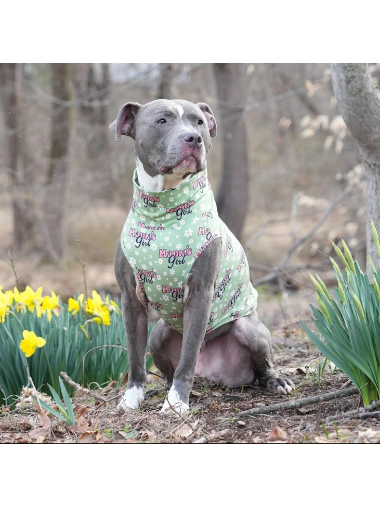 de30403eb0e333ffbc18f8151b1d277f6e35d42dc73cacfd1539f43454e2c838 (1).jpg