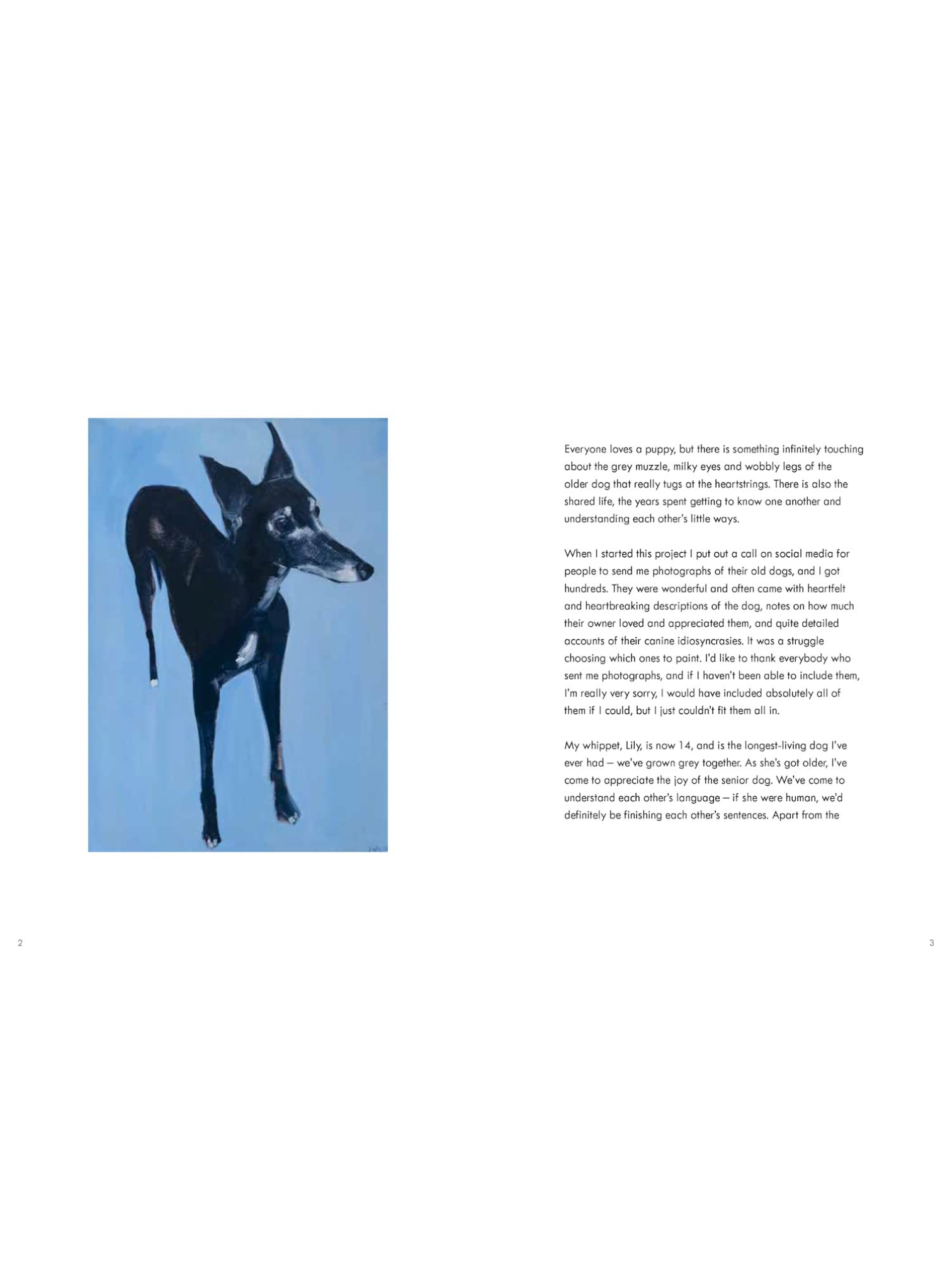 61hM9u9TGgL._SL1500_ (1).png